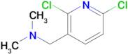 [(2,6-Dichloropyridin-3-yl)methyl]dimethylamine