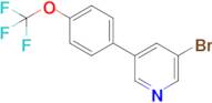 3-Bromo-5-[4-(trifluoromethoxy)phenyl]-pyridine