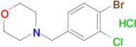 4-[(4-Bromo-3-chlorophenyl)methyl]-morpholine hydrochloride