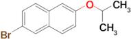 2-Bromo-6-(propan-2-yloxy)naphthalene