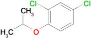 2,4-dichloro-1-isopropoxybenzene