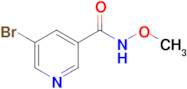 5-Bromo-N-methoxypyridine-3-carboxamide