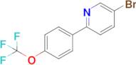 5-Bromo-2-[4-(trifluoromethoxy)phenyl]pyridine