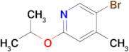5-Bromo-2-isopropoxy-4-methylpyridine