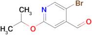 5-Bromo-2-isopropoxyisonicotinaldehyde