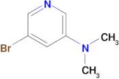 5-Bromo-N,N-dimethylpyridin-3-amine