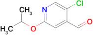 5-Chloro-2-isopropoxyisonicotinaldehyde