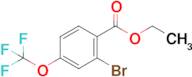 2-Bromo-4-(trifluoromethoxy)benzoic acid ethyl ester