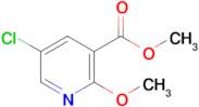 Methyl 5-chloro-2-methoxy-3-pyridinecarboxylate