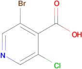 3-Bromo-5-chloro-4-pyridinecarboxylic acid