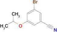 3-Bromo-5-(1-methylethoxy)-benzonitrile