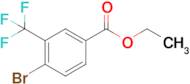 4-Bromo-3-(trifluoromethyl)benzoic acid ethyl ester