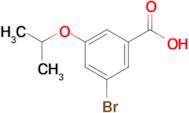 3-Bromo-5-isopropoxybenzoic acid