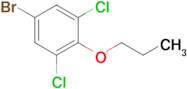 1-Bromo-3,5-dichloro-4-propoxybenzene