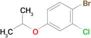 1-Bromo-2-chloro-4-isopropoxybenzene