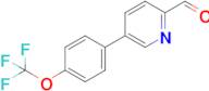 5-(4-(Trifluoromethoxy)phenyl)picolinaldehyde