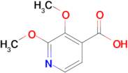 2,3-Dimethoxypyridine-4-carboxylic acid