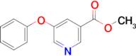 5-Phenoxynicotinic acid methyl ester