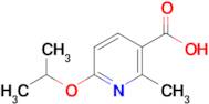 6-Isopropoxy-2-methylnicotinic acid