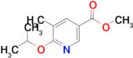 Methyl 6-isopropoxy-5-methylnicotinate