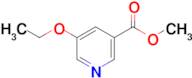 Methyl 5-ethoxynicotinate