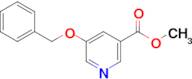 5-Benzyloxynicotinic acid methyl ester