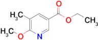 Ethyl 6-methoxy-5-methylpyridine-3-carboxylate