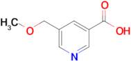 5-(Methoxymethyl)pyridine-3-carboxylic acid