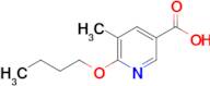 6-Butoxy-5-methylpyridine-3-carboxylic acid