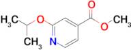 Methyl 2-(propan-2-yloxy)pyridine-4-carboxylate