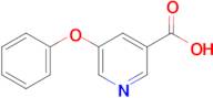 5-Phenoxypyridine-3-carboxylic acid