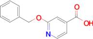 2-(Benzyloxy)isonicotinic acid