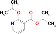 Isopropyl 2-isopropoxynicotinate