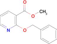 2-Benzyloxy-nicotinic acid methyl ester