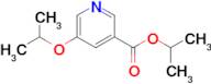 Isopropyl 5-isopropoxynicotinate