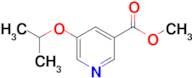 Methyl 5-isopropoxynicotinate