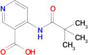 4-(2,2,2-Trimethylacetamino)pyridine-3-carboxylic acid
