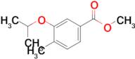 Methyl 3-isopropoxy-4-methylbenzoate