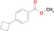 Methyl 4-cyclobutylbenzoate