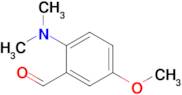 2-(Dimethylamino)-5-methoxybenzaldehyde