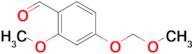 2-Methoxy-4-(methoxymethoxy)benzaldehyde