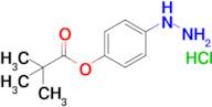 4-Hydrazinylphenyl pivalate hydrochloride