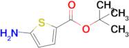 Tert-Butyl 5-aminothiophene-2-carboxylate