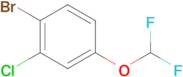 1-Bromo-2-chloro-4-(difluoromethoxy)benzene