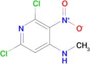 2,6-Dichloro-N-methyl-3-nitropyridin-4-amine
