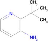 2-(tert-Butyl)pyridin-3-amine