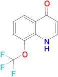 8-(trifluoromethoxy)-1,4-dihydroquinolin-4-one