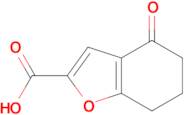 4-Oxo-4,5,6,7-tetrahydrobenzofuran-2-carboxylic acid