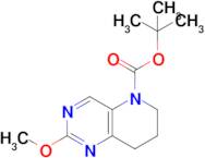 tert-Butyl 2-methoxy-7,8-dihydropyrido[3,2-d]pyrimidine-5(6H)-carboxylate