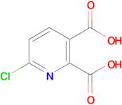 6-Chloropyridine-2,3-dicarboxylic acid